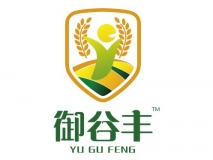 东升国际官方网站图片